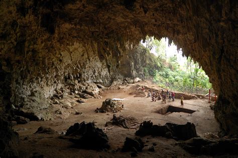 Filehomo Floresiensis Cave Wikipedia