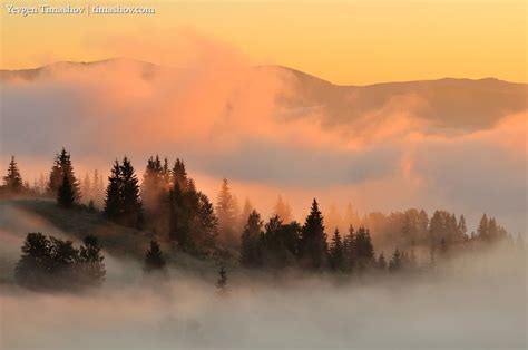 Foggy Landscape In Ukraine At Twilight Fine Art Landscape And