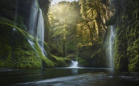 Nature Landscape Oregon Waterfall Moss Forest Mist