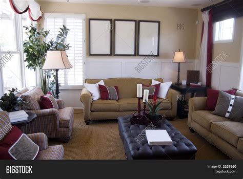 Beautiful Elegant Living Room Image And Photo Bigstock