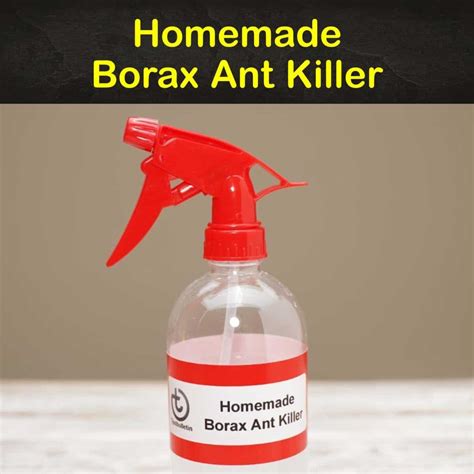 4 Super Effective Homemade Borax Ant Killer Recipes