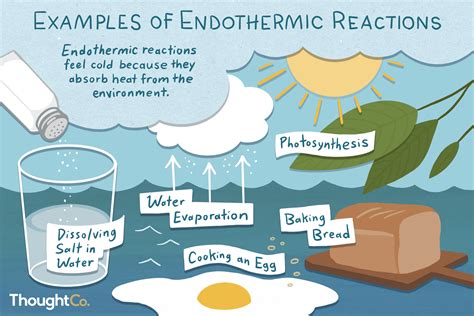 Endothermic Reaction Examples
