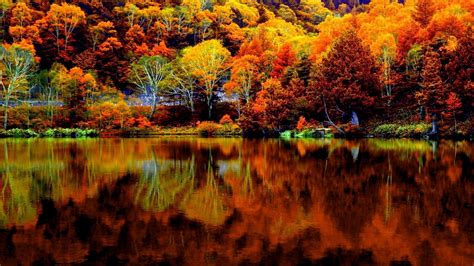 Forest Fall Autumn Nature Season Reflection Trees Lake Hd Wallpaper