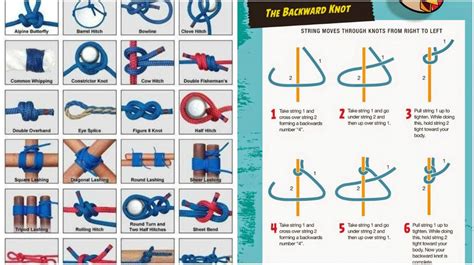 24 Scouting Knots To Know2 Knots Scout Situation