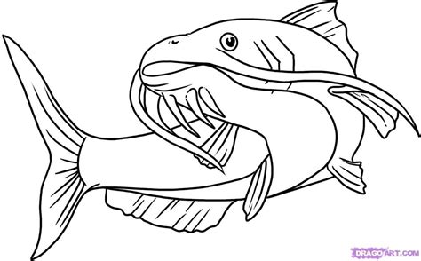 Want to discover art related to catfish? how-to-draw-a-catfish-step-5_1_000000015642_5.jpg (1187× ...