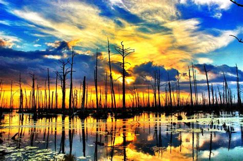 Swamp Sunset My Photography Beautiful Places Louisiana Bayou Places