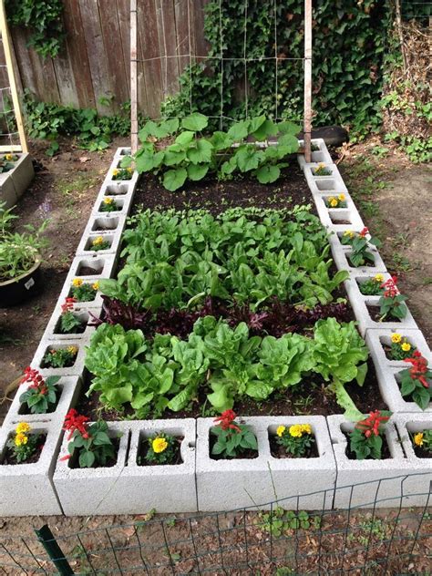 Organic Raised Bed Garden Made With Cinderblocks Backyardgarden
