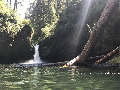 Best Beaches Swimming Holes In And Around Portland Oregon Swimming Holes Big Pools