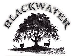 Blackwater | Guided Hunting in SC Low-Country