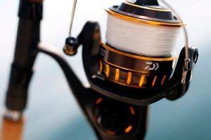 Daiwa BG 4000 Review Affordable Premium Quality Spinning Fishing Reel