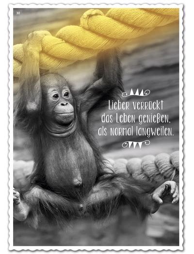 Ein passender spruch über das leben kann ihnen oder deprimierten freunden dabei helfen, das leben wieder in vollen zügen zu genießen. Lieber verrückt das Leben genießen, als normal langweilen ...