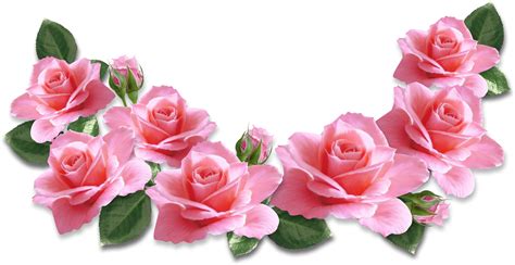 You can download (493x771) setangkai bunga. Pin oleh Bejo Sutejo di BUNGA | Mawar kuning, Mawar, dan Bunga