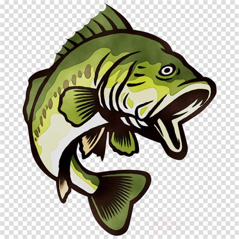 Large Mouth Bass Free Vector Clip Art Library