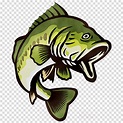 Clipart Bass Fish Png - Try to search more transparent images related ...