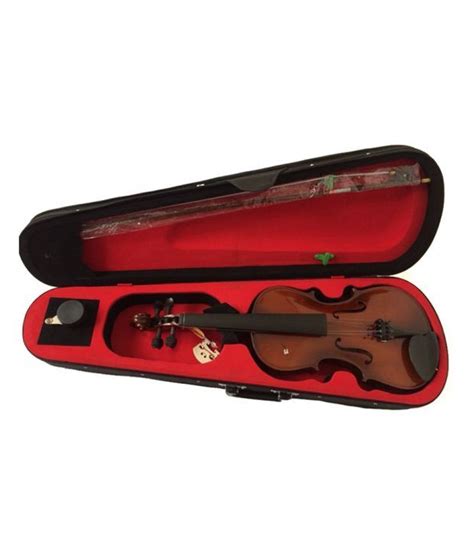 SG Musical Violin Indian Violin Bow & Case | Violin bow, Bow cases, Violin