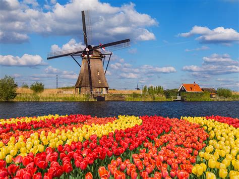 Dutch Tulips And Windmills River Cruise Ultimate Destinations