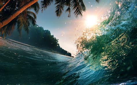 Waves Sea Ocean Beach Palm Trees Summer Wallpaper 5000x3105 429470