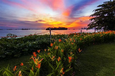 Singapore Sentosa Island Sea Beach Flower Garden With Cloud Evening