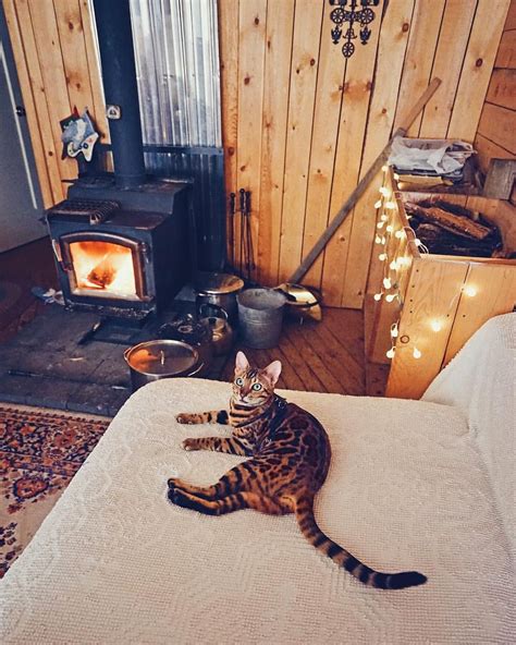 Staying Cozy In The Cabin After Jumping Into The Lake Again Caught On