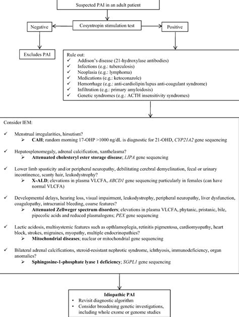 Diagnostic Algorithm For Primary Adrenal Insufficiency In Adults With