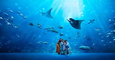 Sea Aquarium Admission Tickets Resorts World Sentosa