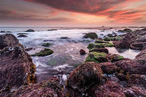 Best Tide Pools In Southern California To Explore