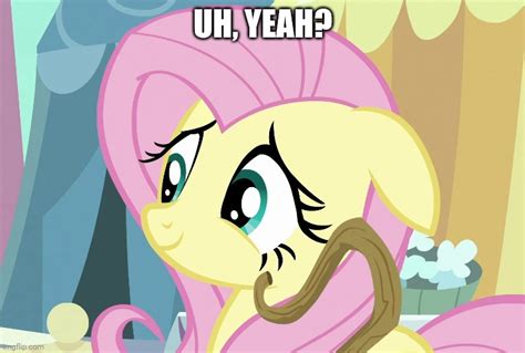 Image Tagged In Fluttershyshymy Little Pony Friendship Is Magic Imgflip