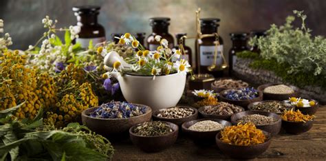 Medicinal Flowers And Their Uses Proflowers Blog