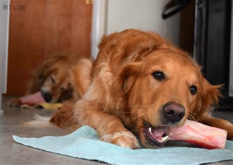 Primal Marrow Bones Review Keeping Safe With Raw Bones