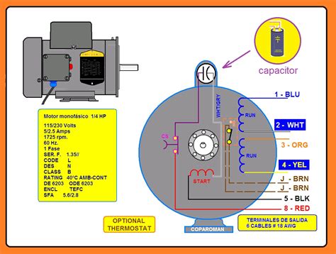 Diagrama Motor Monofasico 4 Polos Diagrama De Fiacao Eletrica Do Images