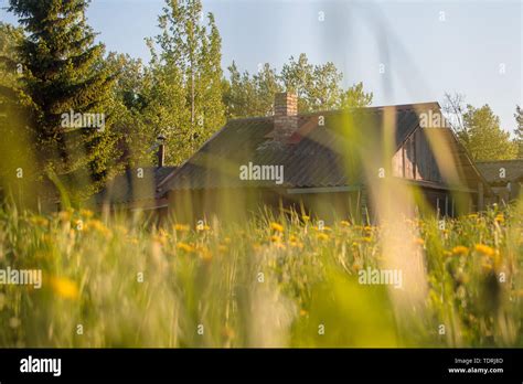 Old Country House View From Under The Grass Stock Photo Alamy