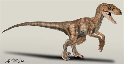 The Lost World Jurassic Park Velociraptor Female By Nikorex On Deviantart Velociraptor