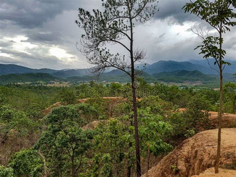 Two Trees Middle Right At Pai Canyon Sandstones Clouds Sky Over Nature