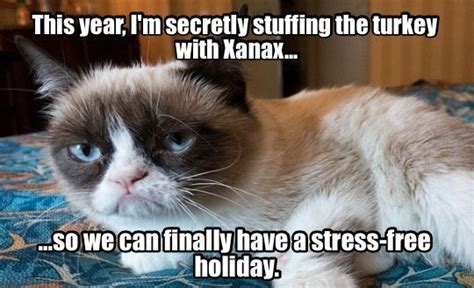 14 Best Grumpy Cat Thanksgiving Images On Pinterest