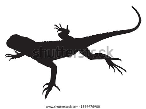 Amphibian Lizard Silhouette Vector Illustration Stock Vector Royalty