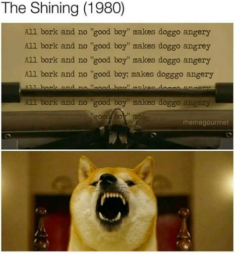 All Bork And No Good Boy Makes Doggo Angery Dogs Know Your Meme