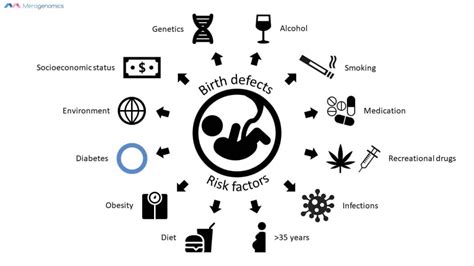 Birth Defects Genome Sequencing Blog For Everyday People
