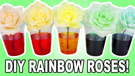 Diy Rainbow Roses Youtube