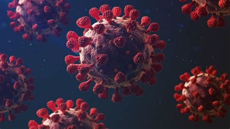 Coronavirus Caracter Sticas Que Hacen Tan Mortal A La Covid Bbc