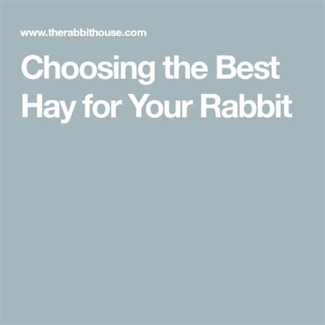 Choosing The Best Hay For Your Rabbit Rabbit Hays Good Things