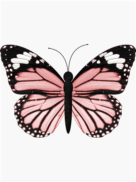 'Light Pink Butterfly ' Sticker by EmmaGSheehan in 2020 | Butterfly art
