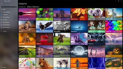 Best Automatic Wallpaper Changers For Windows 10 In 2024 Softonic