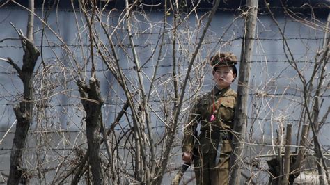 rights group says north korean detainees routinely tortured and degraded