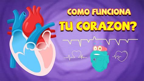 El Secreto Del Corazón Humano Ciencias Para Niños Youtube