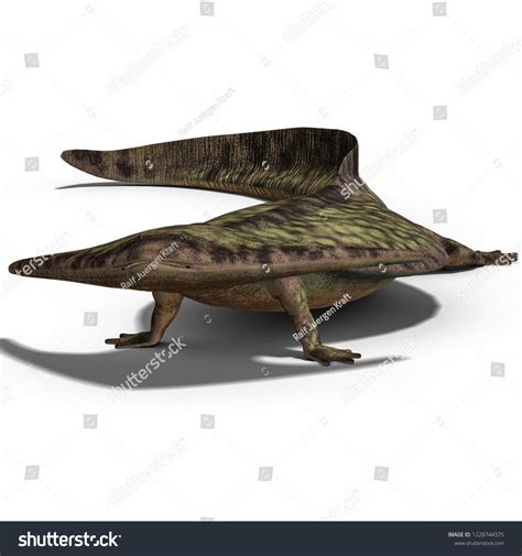 3d Illustration Amphibian Dinosaur Diplocaulus Over Stock Illustration