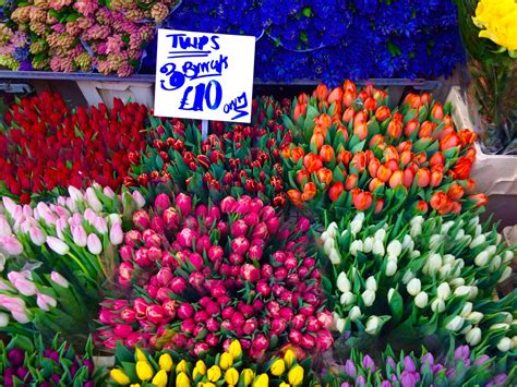 Columbia Road Flower Market In London In Photos