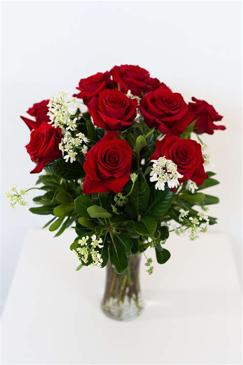 A Dozen Red Roses In Charlottesville Va Hedge Fine Blooms