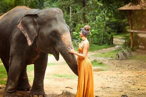 elephants phang nga thailand — tori artis photography
