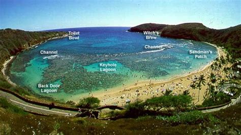 Hanauma Bay Snorkel Hanauma Bay Oahus Marine Life Conservation Park