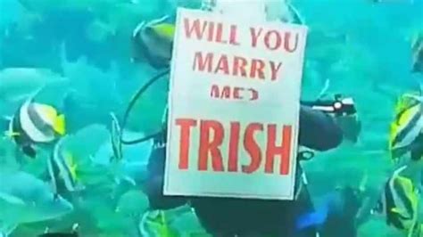 Watch Romantic Proposal At Ushaka Marine World Goes Viral